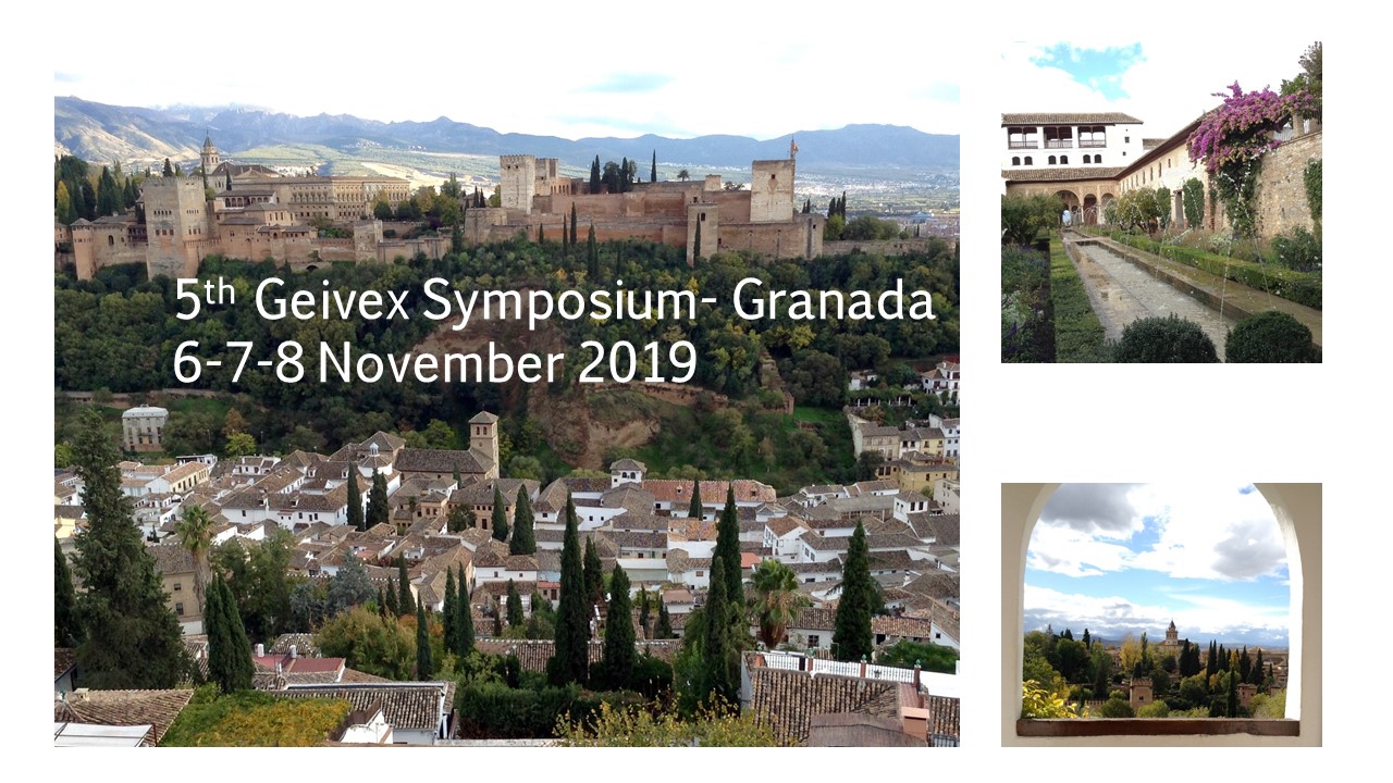 Save the date! Granada, November 68 2019 Geivex